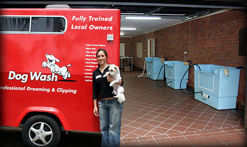National and International experience in Dog Grooming and Animal Care!