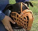 German Leather Basket Dog Muzzle