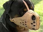 The American Dog Muzzle