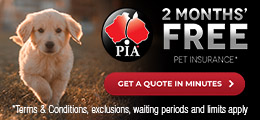 Pet Insurance Australia