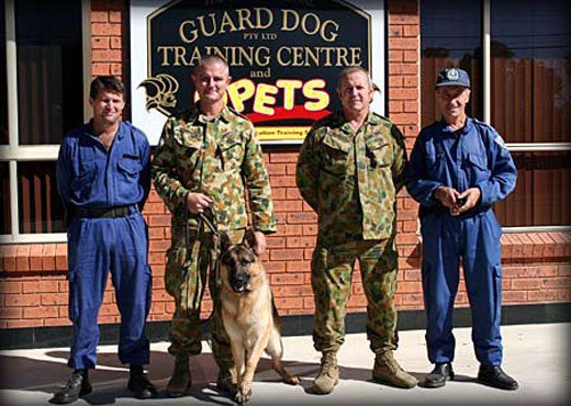 Training Army Dogs