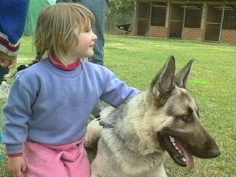 how do you train a puppy for personal protection